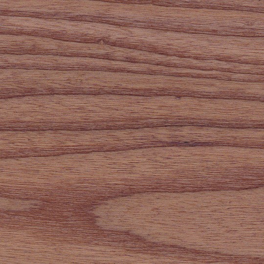 frassino185-540x540